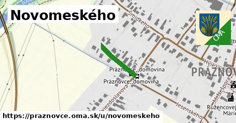 Novomeského, Práznovce