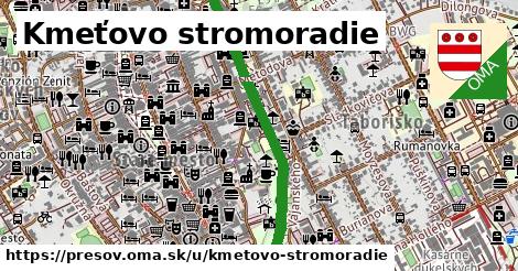 ilustrácia k Kmeťovo stromoradie, Prešov - 0,83 km