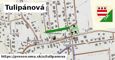 Tulipánová, Prešov