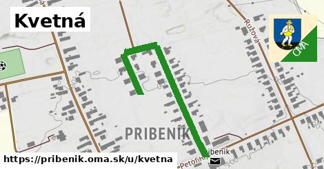 ilustrácia k Kvetná, Pribeník - 459 m