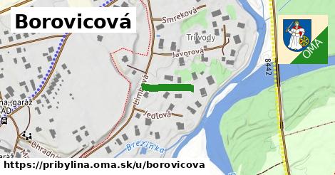 Borovicová, Pribylina