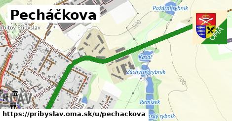 ilustrácia k Pecháčkova, Přibyslav - 1,47 km