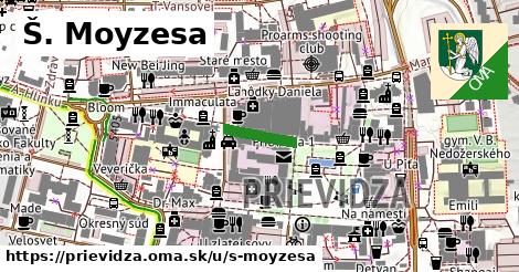 Š. Moyzesa, Prievidza