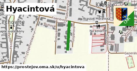 ilustrácia k Hyacintová, Prostějov - 158 m