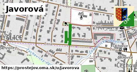 Javorová, Prostějov