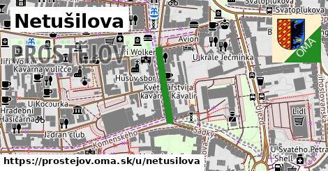 Netušilova, Prostějov