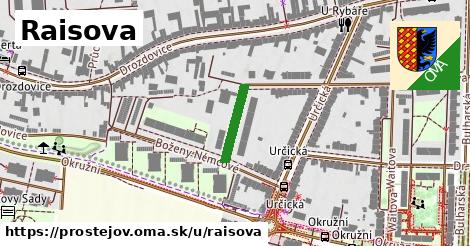 ilustrácia k Raisova, Prostějov - 125 m