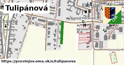 Tulipánová, Prostějov