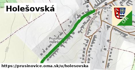 Holešovská, Prusinovice