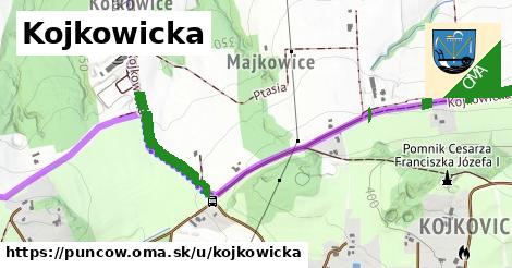 ilustrácia k Kojkowicka, Puńców - 501 m