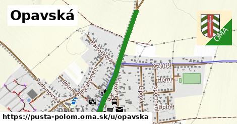 ilustrácia k Opavská, Pustá Polom - 667 m