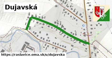 ilustrácia k Dujavská, Raslavice - 0,85 km