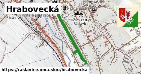 Hrabovecká, Raslavice