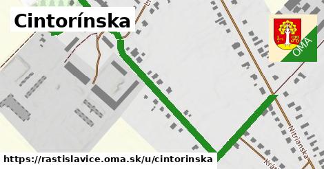 ilustrácia k Cintorínska, Rastislavice - 0,83 km