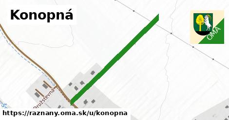 ilustrácia k Konopná, Ražňany - 393 m