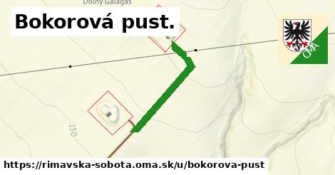 ilustrácia k Bokorová pust., Rimavská Sobota - 258 m