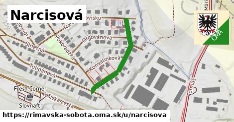 ilustrácia k Narcisová, Rimavská Sobota - 289 m