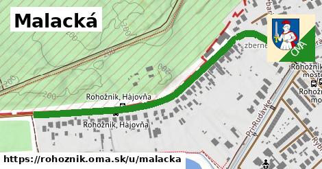 ilustrácia k Malacká, Rohožník - 646 m