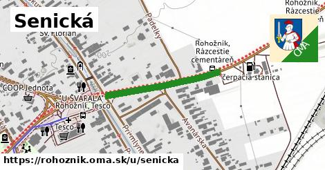 Senická, Rohožník