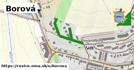 ilustrácia k Borová, Rosice - 305 m