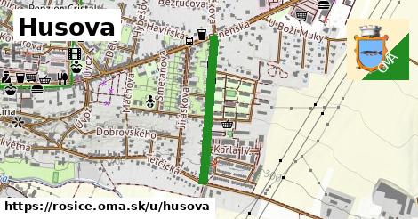 Husova, Rosice