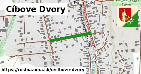 Cíbove Dvory, Rosina