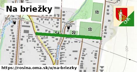 Na briežky, Rosina