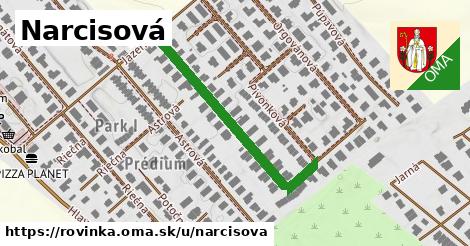 ilustrácia k Narcisová, Rovinka - 388 m