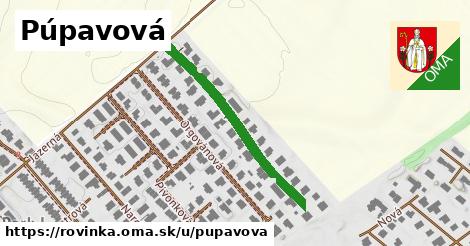 ilustrácia k Púpavová, Rovinka - 343 m