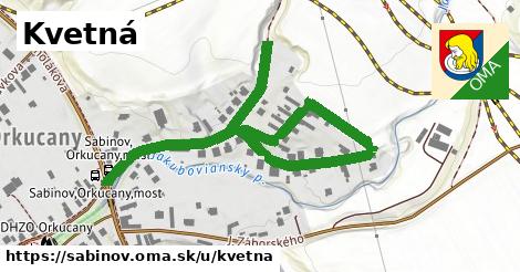 ilustrácia k Kvetná, Sabinov - 0,80 km