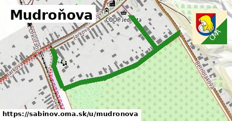 ilustrácia k Mudroňova, Sabinov - 686 m