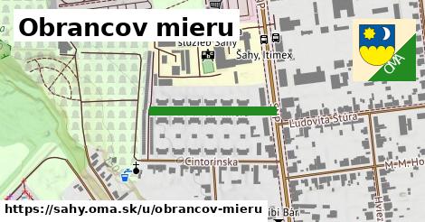 Obrancov mieru, Šahy