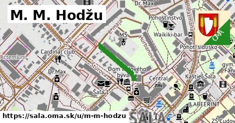 M. M. Hodžu, Šaľa