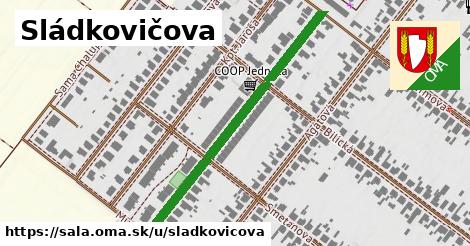 Sládkovičova, Šaľa