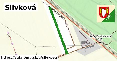 Slivková, Šaľa