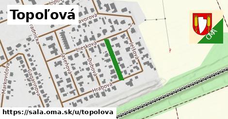 Topoľová, Šaľa