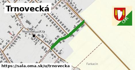 Trnovecká, Šaľa