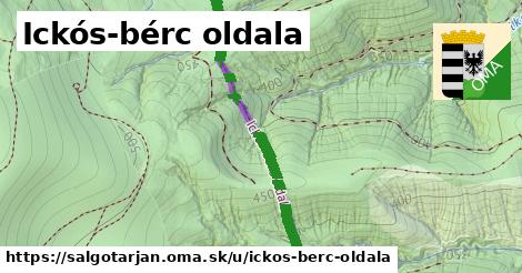 ilustrácia k Ickós-bérc oldala, Salgótarján - 1,16 km