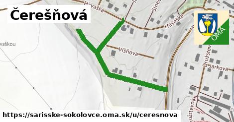 ilustrácia k Čerešňová, Šarišské Sokolovce - 495 m