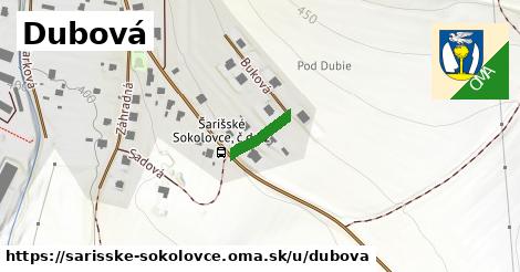 Dubová, Šarišské Sokolovce