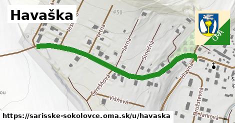 ilustrácia k Havaška, Šarišské Sokolovce - 545 m