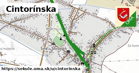 ilustrácia k Cintorínska, Sekule - 1,09 km