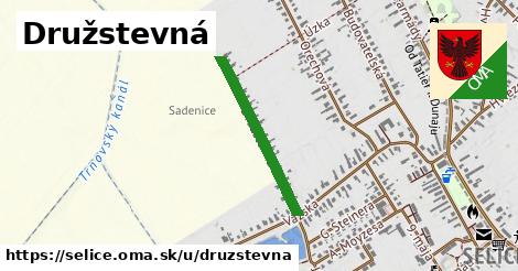 Družstevná, Selice