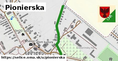 Pionierska, Selice