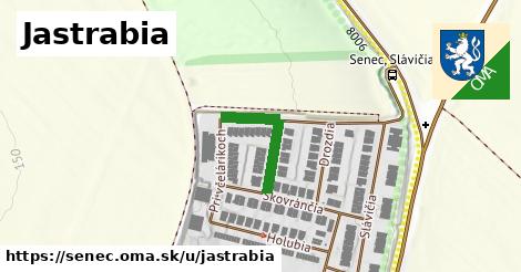 Jastrabia, Senec