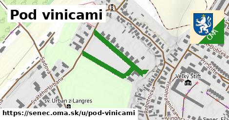 ilustrácia k Pod vinicami, Senec - 429 m