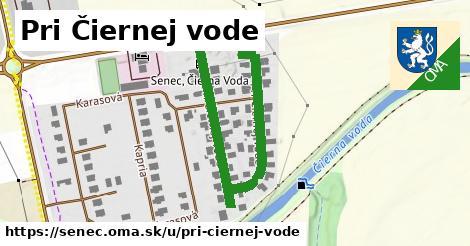 Pri Čiernej vode, Senec