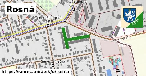 ilustrácia k Rosná, Senec - 232 m