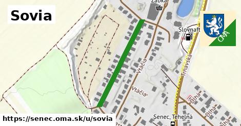 ilustrácia k Sovia, Senec - 301 m