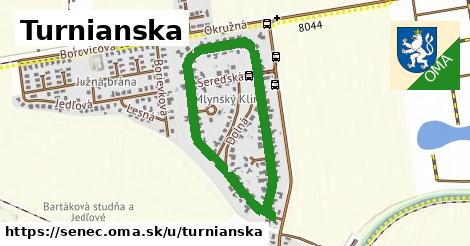 ilustrácia k Turnianska, Senec - 1,36 km